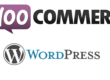 Woocommerce-entwickler-WooCommerce Vorteile vs. Nachteile