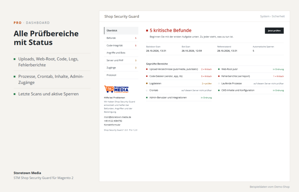 Geprüfte Bereiche: Uploads, Web-Root, Code, Logs, Fehlerberichte, Prozesse, Crontab, Inhalte und Zugänge mit Status (Beispieldaten)